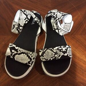 MIA snakeskin scandals ( Black and white ) size 8.